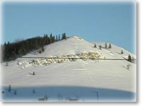 ������ � 10-�������� ����� � �������